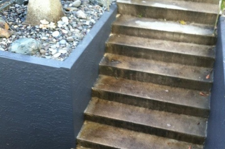 Chemical Cleaning Steps (Before)