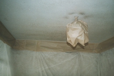 Textured Ceilings
