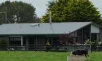 Roof Painting